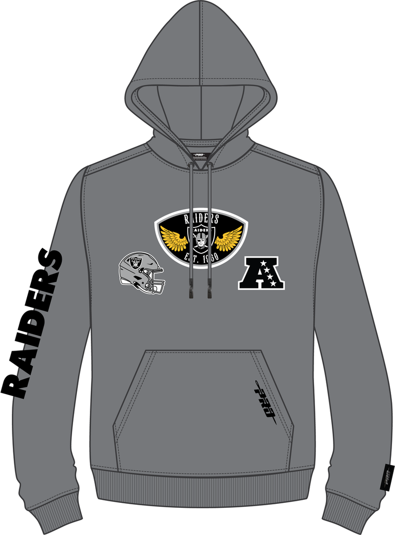 Pro Standard Las Vegas Raiders 'Born For Sport' Hoodie FOR5411083 (Grey)