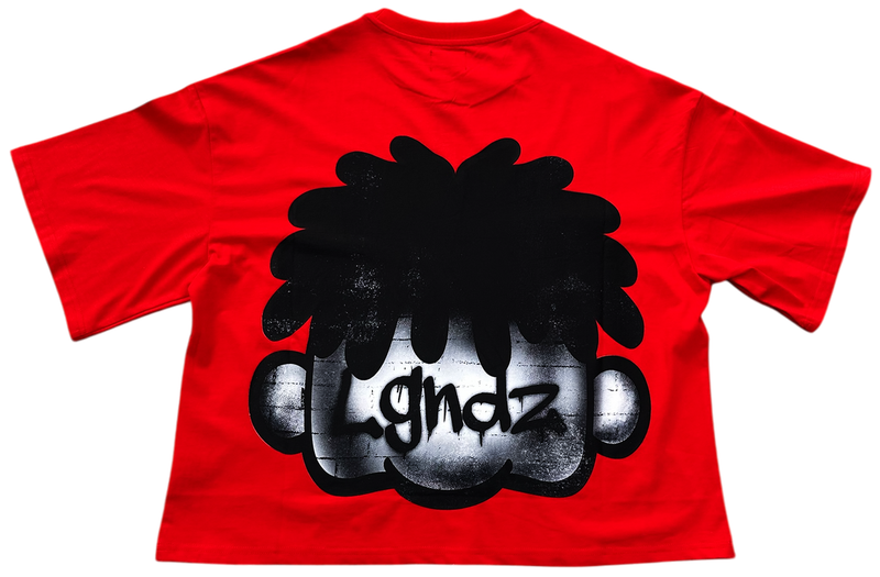 LGNDZ ' Bling Smile ' Oversized Cropped T-Shirt (Red) LG1406 - FRESH N FITTED