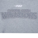 Pro Standard Golden State Warriors Reverse French Terry Fleece Hoodie (Dark Heather Grey) BGW5515877 - FRESH N FITTED