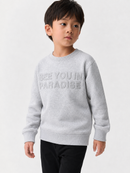Jordan Craig Kids "Paradise" Pullover Crewneck Sweater (Grey) 8829TK