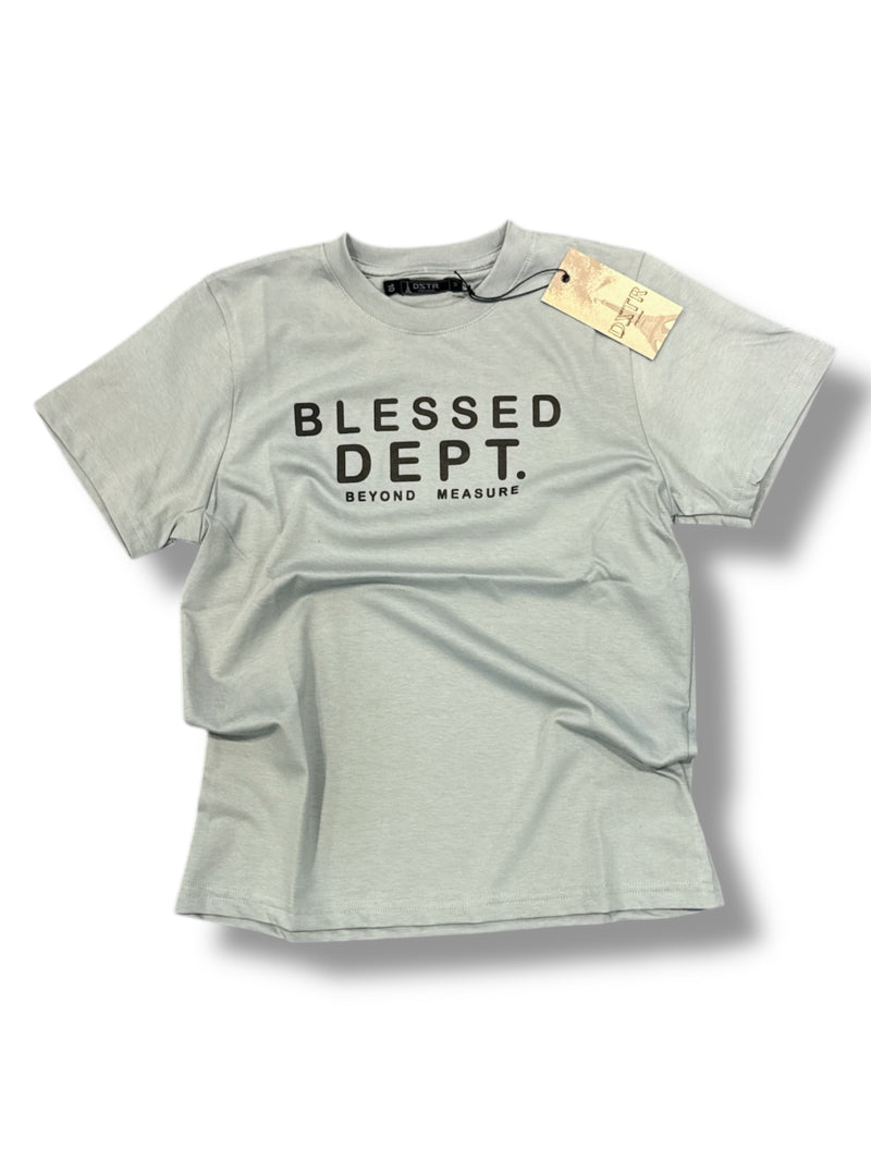 DSTR 'BLESSED DEPT' Kids T-Shirt (Grey)