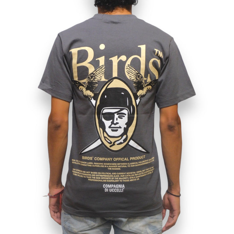 Birds "Raider" Charcoal Ultra-Premium Oversized S/S Box T-Shirt