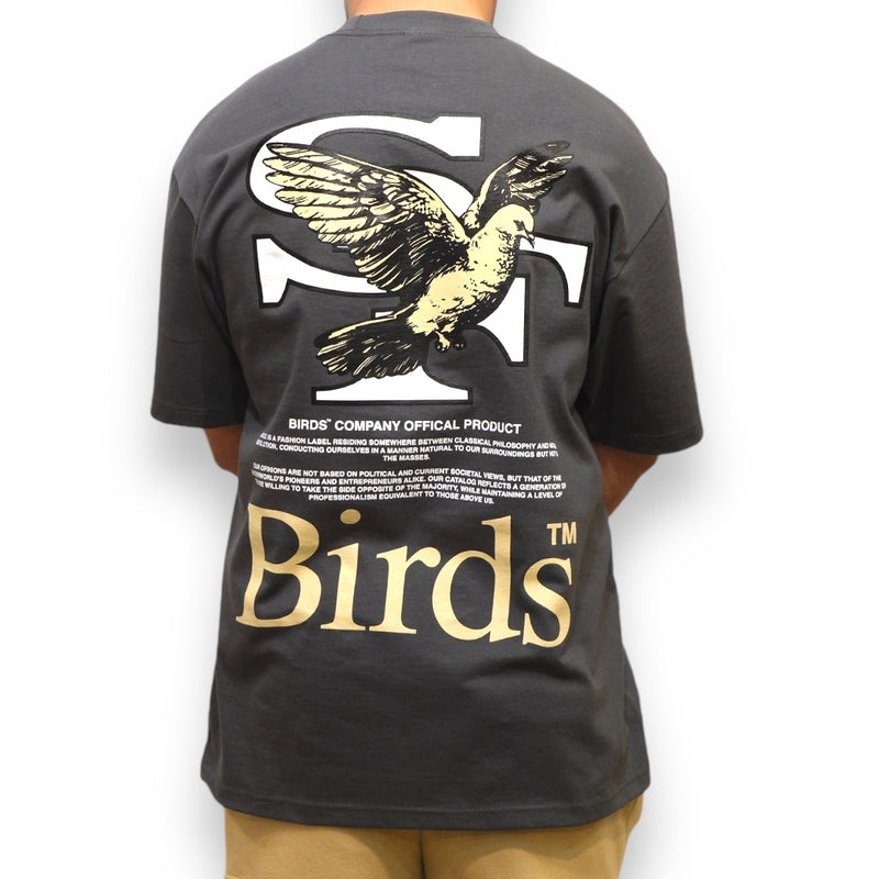 Birds "Niner" Charcoal Ultra-Premium Oversized S/S Box T-Shirt