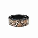 Mint Gem Gold Buckle Belt - FRESH N FITTED