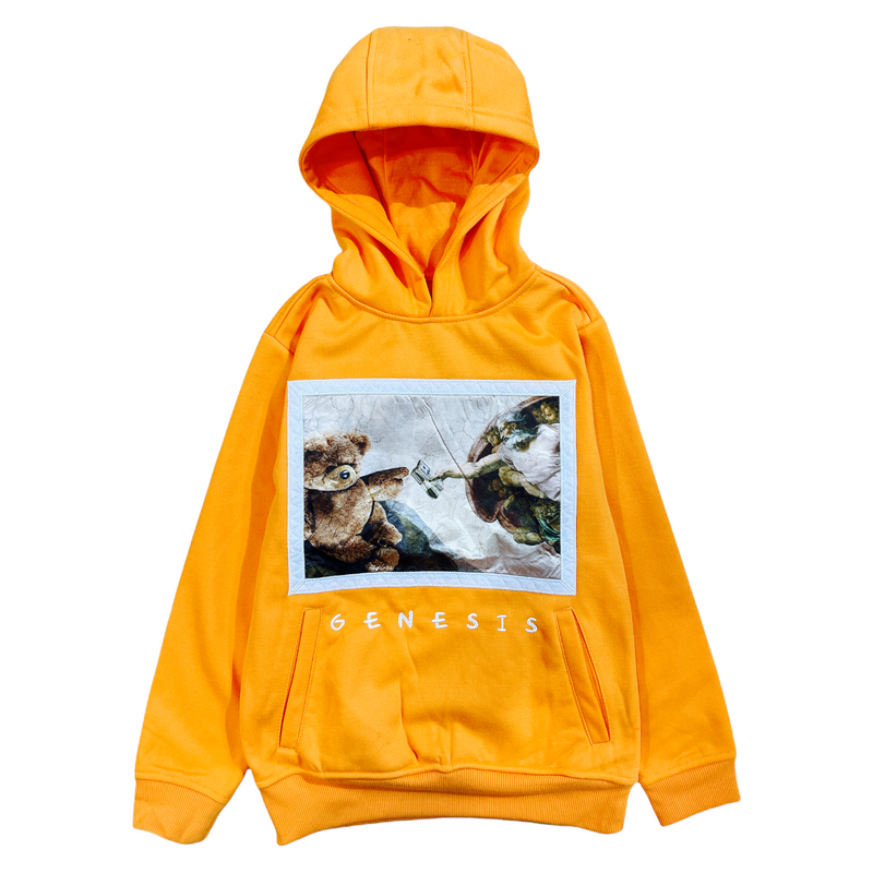 Rebel Minds Kids 'Genesis' Hoodie (Burnt Orange) 112-B319 - Fresh N Fitted Inc